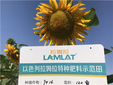 進(jìn)口水溶肥，拉姆拉