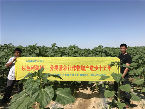 進(jìn)口水溶肥，拉姆拉