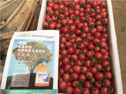 微生物菌劑，磷酸二氫鉀，翠姆，拉姆拉