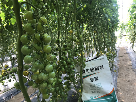 微生物菌劑，磷酸二氫鉀，翠姆，拉姆拉