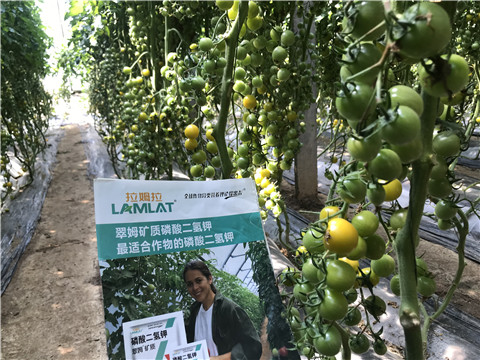 微生物菌劑，磷酸二氫鉀，翠姆，拉姆拉