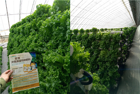 水溶肥，拉姆拉，翠姆