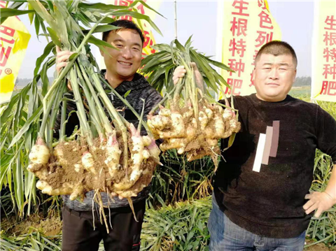 水溶肥，翠姆，拉姆拉