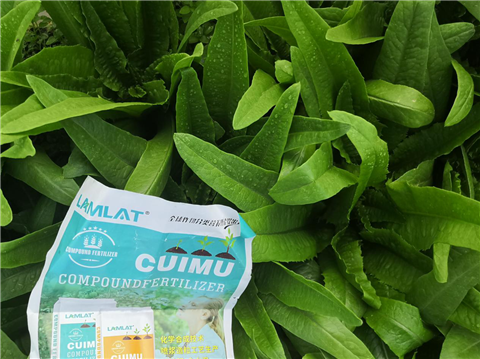 水溶肥，翠姆，拉姆拉