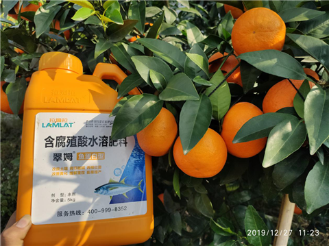 水溶肥，翠姆，拉姆拉