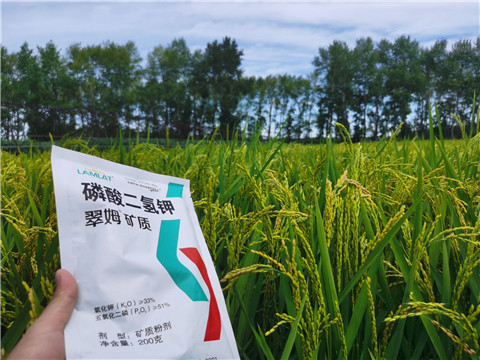 磷酸二氫鉀，拉姆拉，翠姆