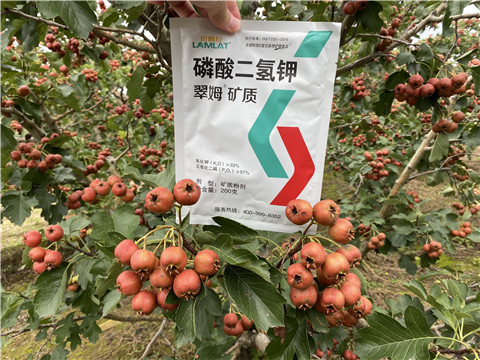 磷酸二氫鉀，拉姆拉，翠姆