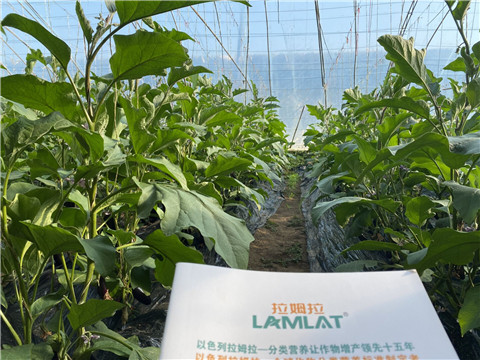 進(jìn)口水溶肥，翠姆，拉姆拉