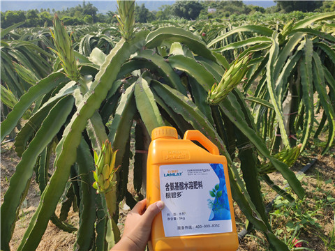 水溶肥，拉姆拉，翠姆