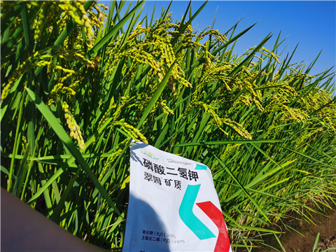 水溶肥，磷酸二氫鉀