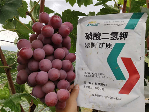 進(jìn)口水溶肥，拉姆拉，翠姆