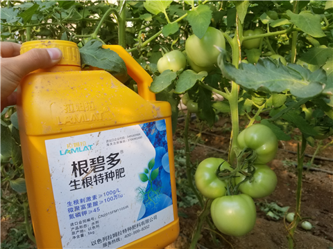 葉面肥，磷酸二氫鉀，微生物菌劑，翠姆，拉姆拉