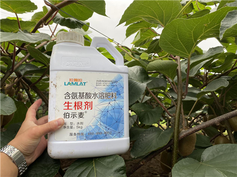 水溶肥，生根劑，微生物菌劑，伯示麥，拉姆拉