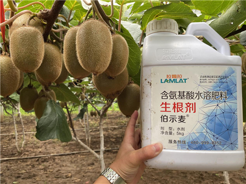 水溶肥，生根劑，微生物菌劑，伯示麥，拉姆拉