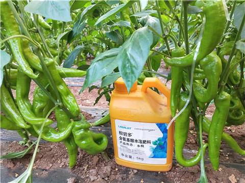 水溶肥，拉姆拉