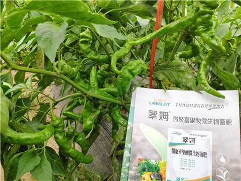 水溶肥，拉姆拉