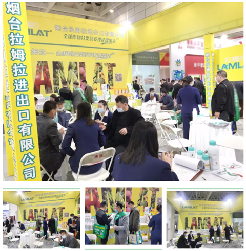 水溶肥，拉姆拉，翠姆