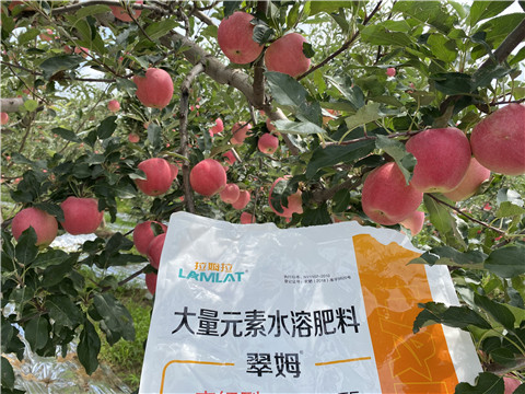 水溶肥，大量元素水溶肥，翠姆，拉姆拉