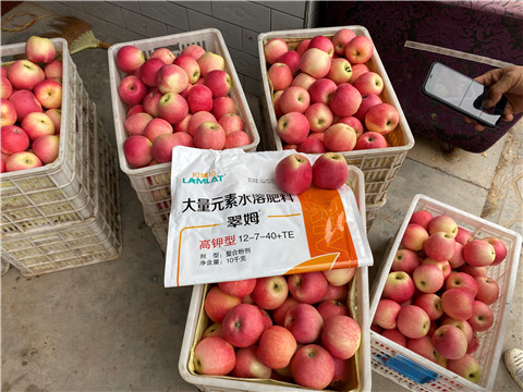 水溶肥，大量元素水溶肥，翠姆，拉姆拉