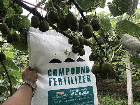 顆粒水溶肥，拉姆拉，翠姆