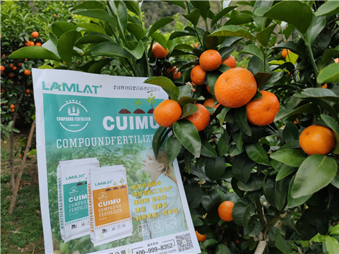 顆粒水溶肥，拉姆拉，翠姆