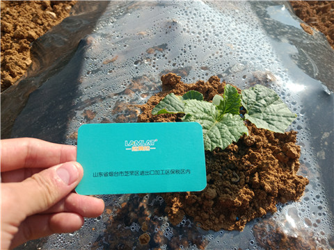 水溶肥，拉姆拉