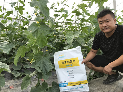 水溶肥，拉姆拉