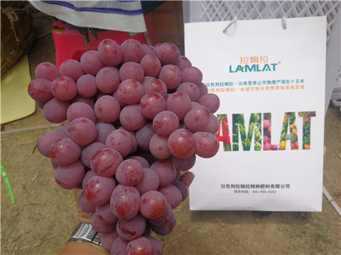 葉面肥，磷酸二氫鉀，鈣肥，翠姆，拉姆拉