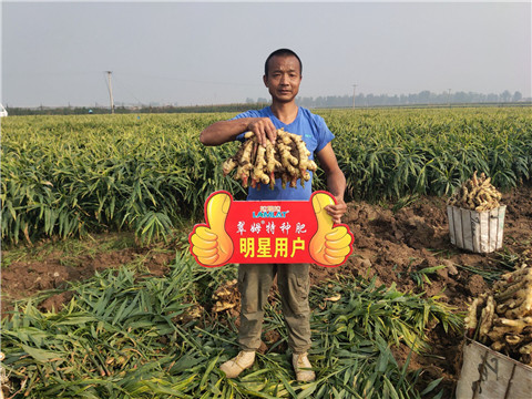 進口水溶肥，拉姆拉，翠姆