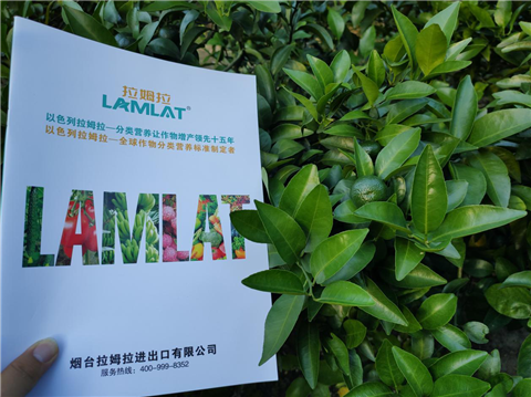 水溶肥，拉姆拉，翠姆