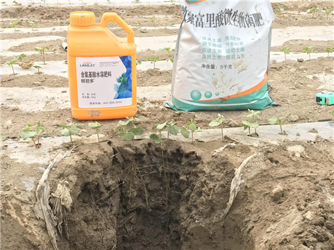 水溶肥，拉姆拉，翠姆