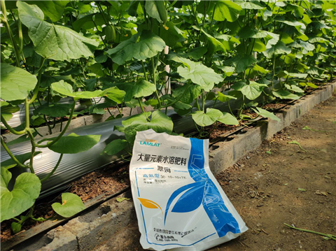 大量元素水溶肥，拉姆拉，翠姆