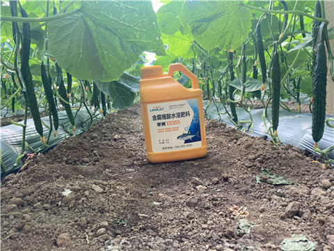 水溶肥，拉姆拉，翠姆