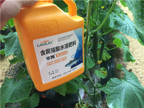 滴灌肥，拉姆拉，翠姆