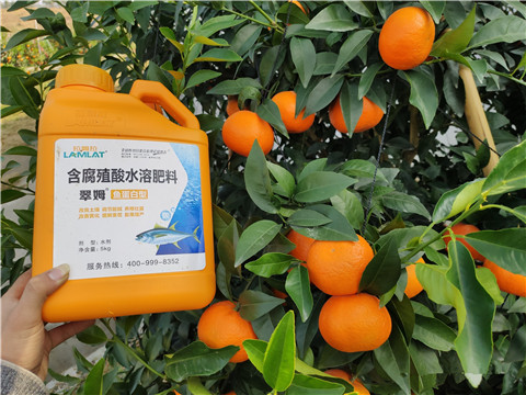 滴灌肥，拉姆拉，翠姆