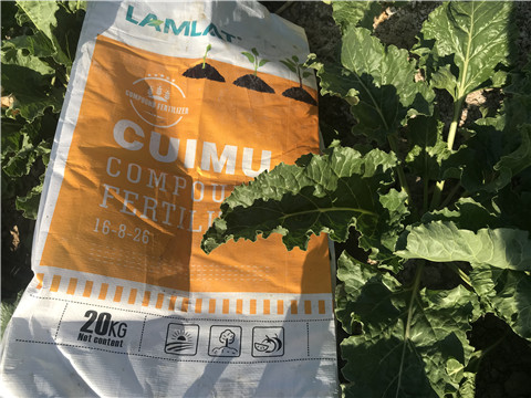 顆粒水溶肥，拉姆拉，翠姆