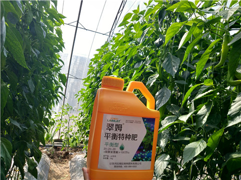 滴灌肥，拉姆拉，翠姆