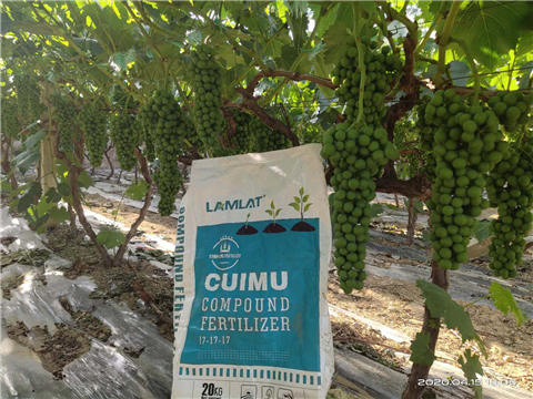 水溶肥，拉姆拉，翠姆