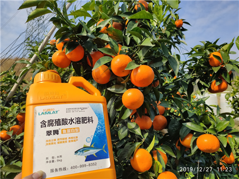 水溶肥，拉姆拉，翠姆