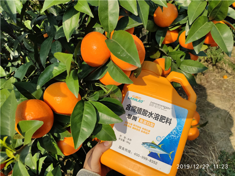 水溶肥，拉姆拉，翠姆