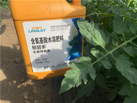 水溶肥，拉姆拉，翠姆