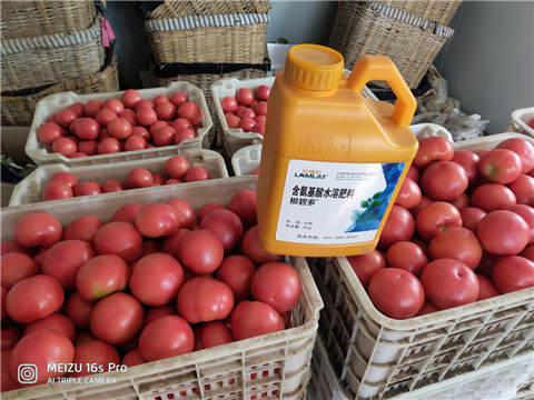 水溶肥，拉姆拉，翠姆