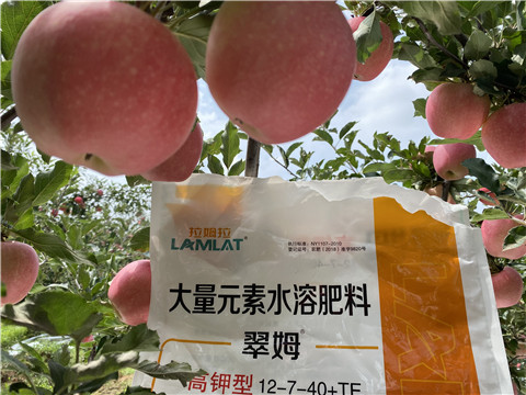 大量元素水溶肥，拉姆拉，翠姆