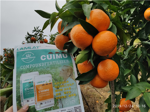 進(jìn)口水溶肥，拉姆拉，翠姆