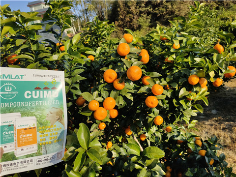 進(jìn)口水溶肥，拉姆拉，翠姆