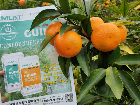 顆粒水溶肥，拉姆拉，翠姆