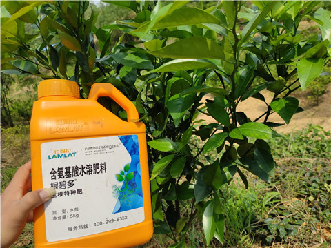 水溶肥，拉姆拉，翠姆
