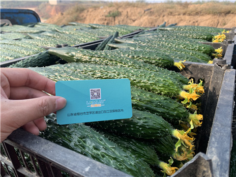 水溶肥，拉姆拉，伯示麥