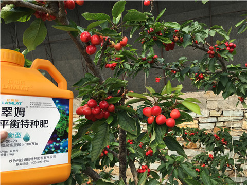 水溶肥，拉姆拉，翠姆