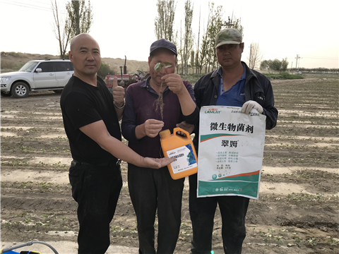 水溶肥，拉姆拉，翠姆